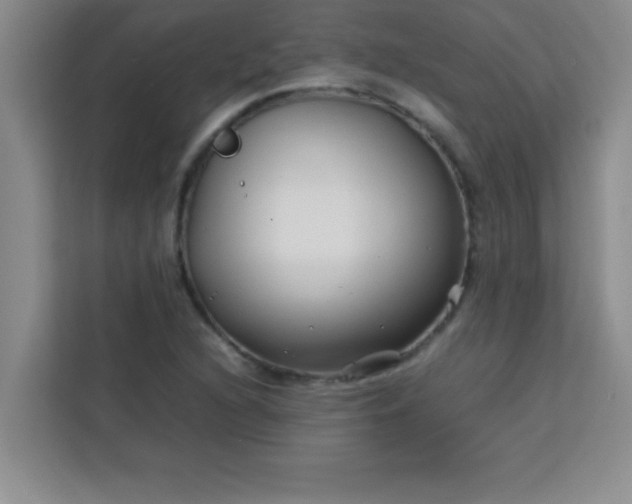 X0000113761216200910071125