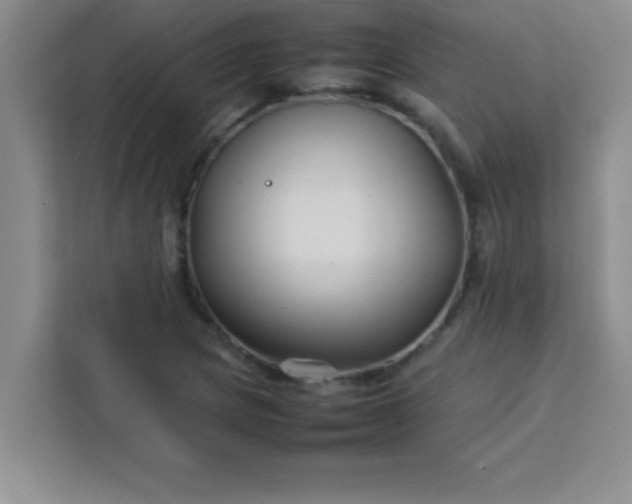 X0000113761217200910071125