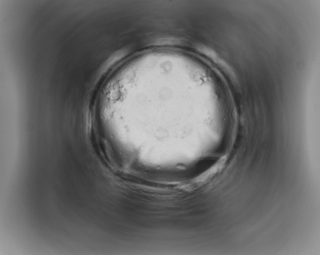 X0000113761221200910071125