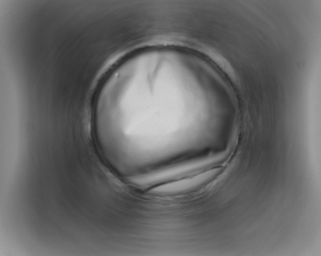 X0000113761224200910071125
