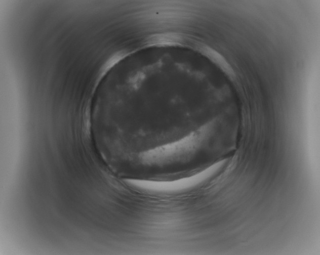 X0000113761226200910071125