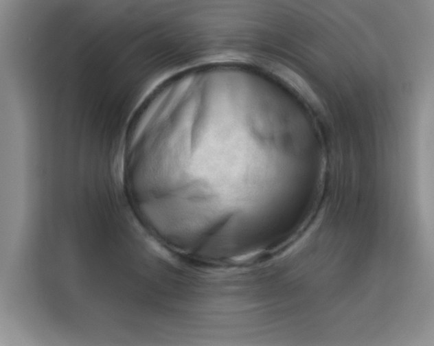 X0000113761228200910071125