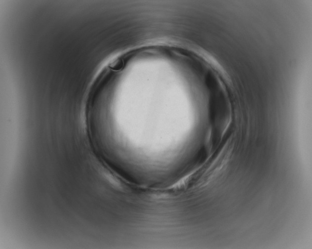 X0000113761230200910071125