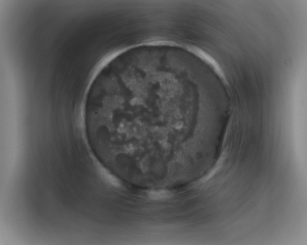 X0000113761231200910071125