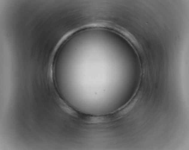 X0000113761232200910071125
