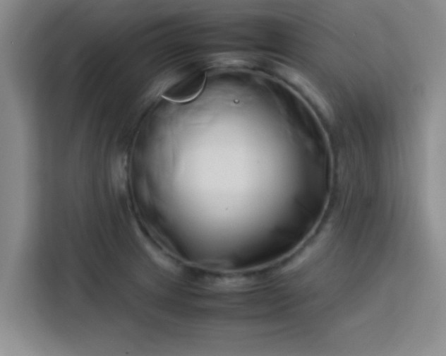 X0000113761233200910071125