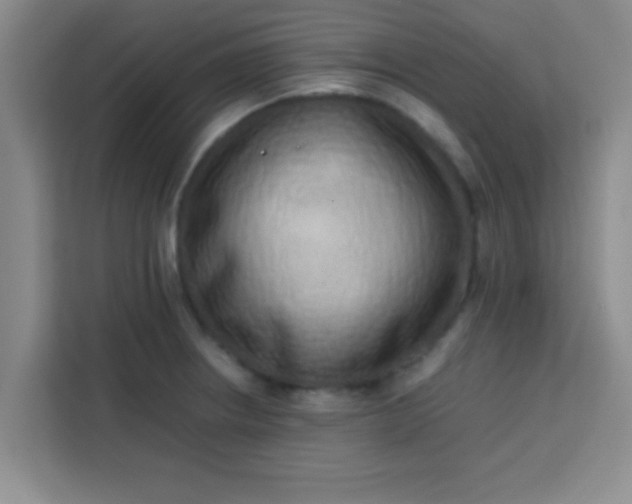 X0000113761234200910071125
