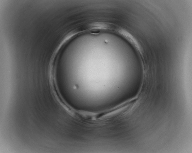 X0000113761235200910071125