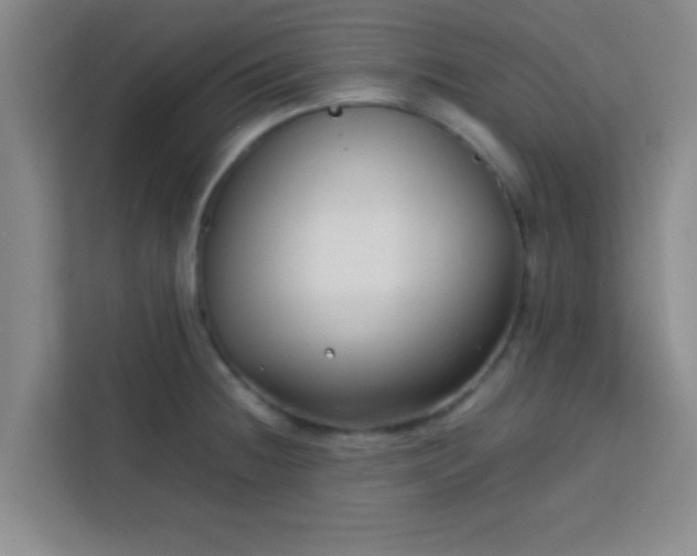 X0000113761236200910071125