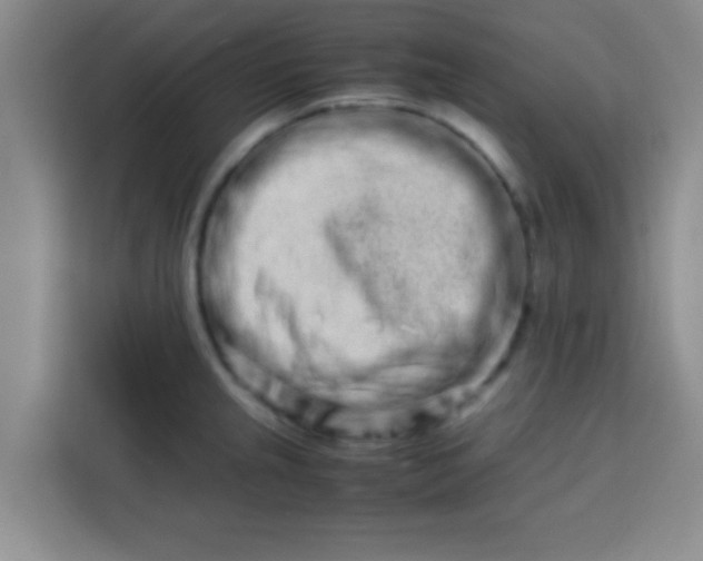 X0000113761237200910071125