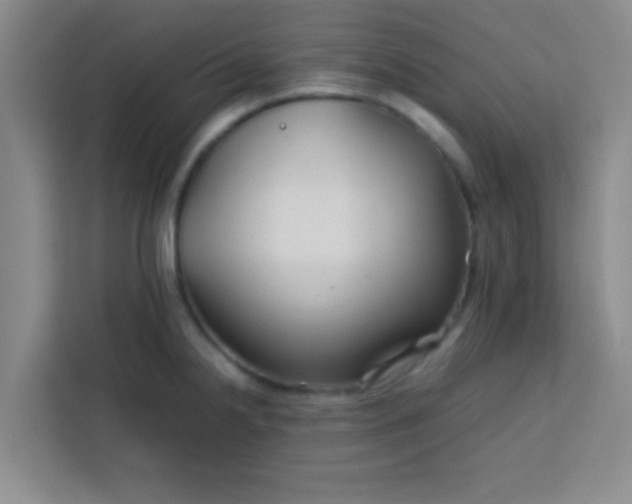 X0000113761238200910071125