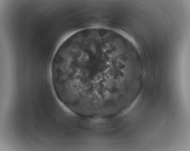 X0000113761239200910071125