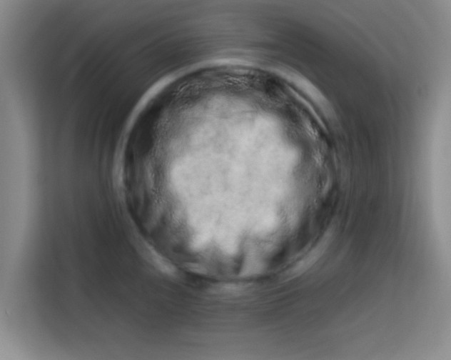 X0000113761240200910071125