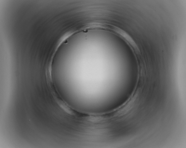 X0000113761242200910071125