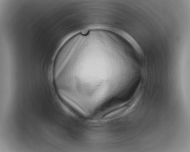 X0000113761244200910071125