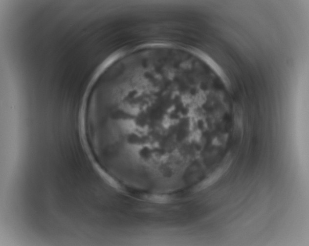 X0000113761245200910071125