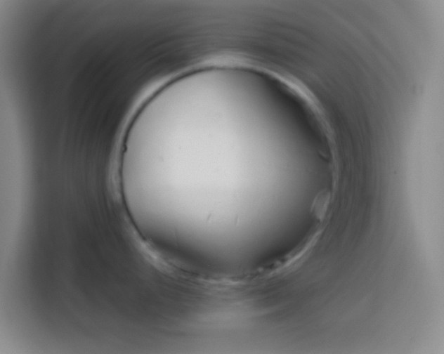 X0000113761248200910071125