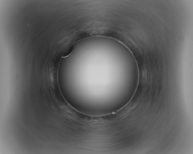 X0000113761250200910071124