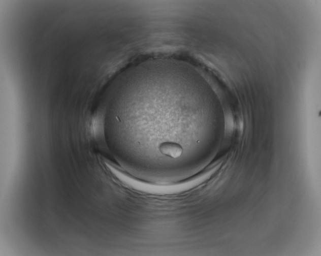 X0000113761252200910071124