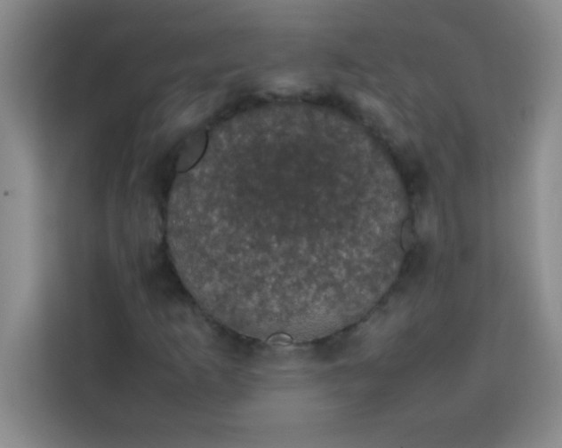 X0000113761253200910071124