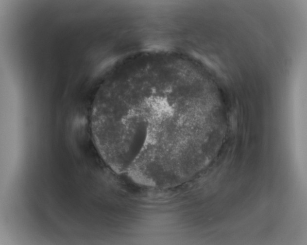 X0000113761254200910071124