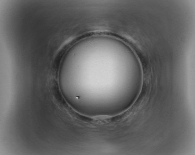 X0000113761255200910071124