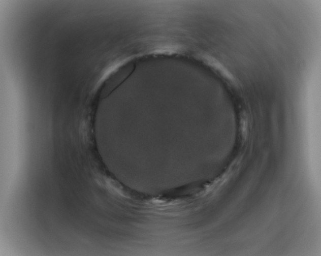 X0000113761256200910071124