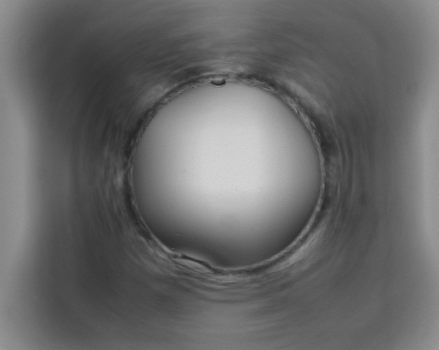 X0000113761257200910071124