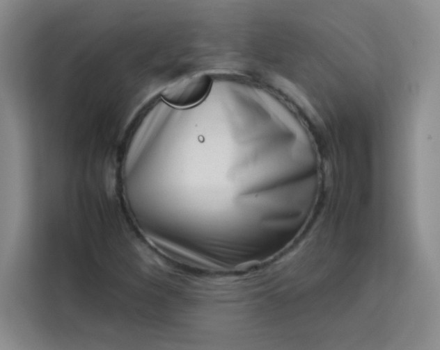 X0000113761260200910071124