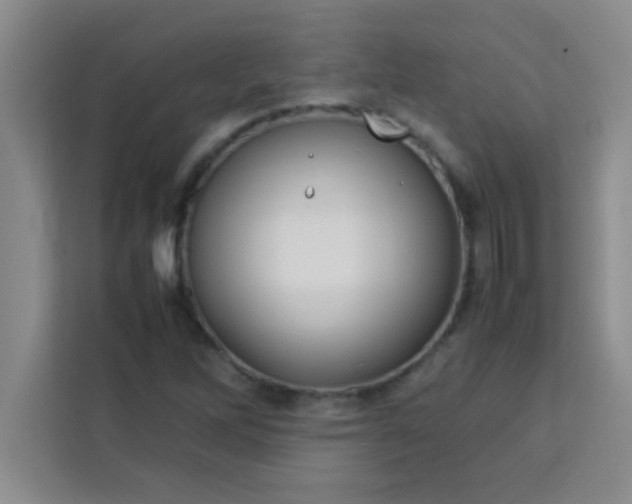 X0000113761262200910071124