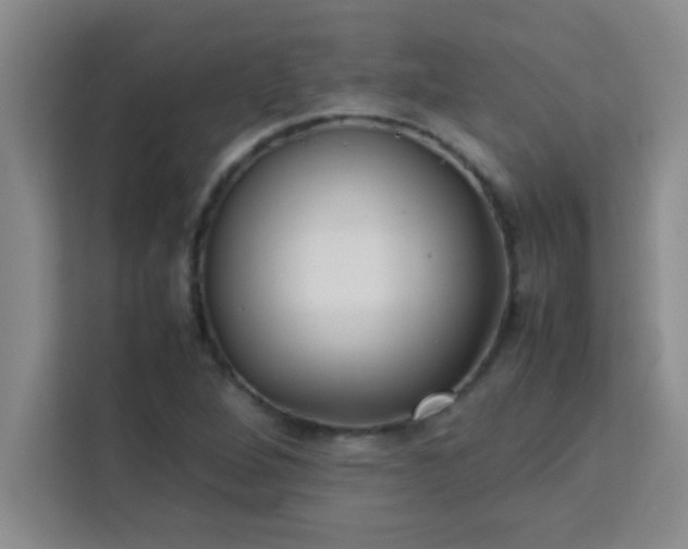 X0000113761264200910071124