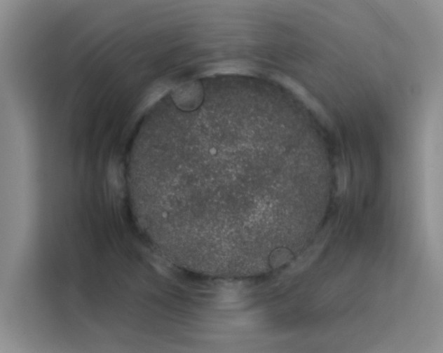 X0000113761266200910071124