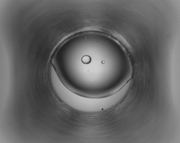 X0000113761268200910071124