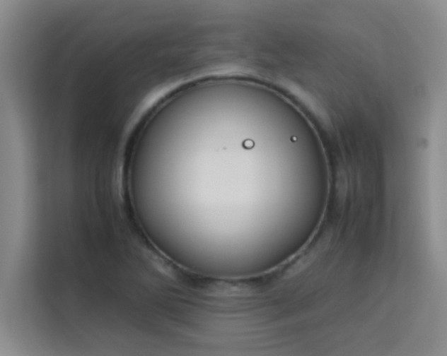 X0000113761270200910071124