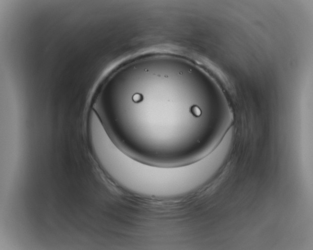 X0000113761272200910071124