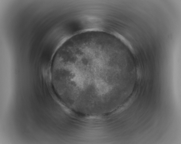X0000113761274200910071124