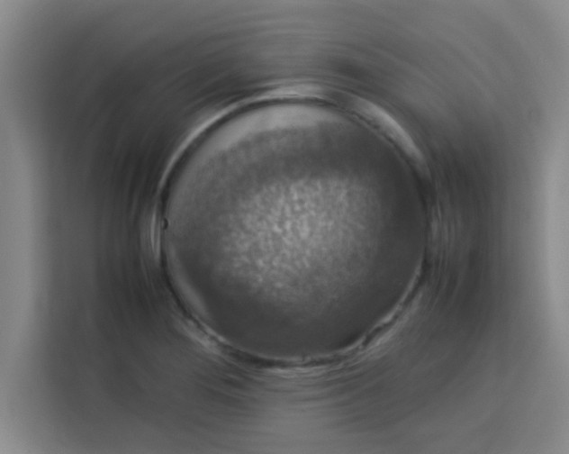 X0000113761276200910071124