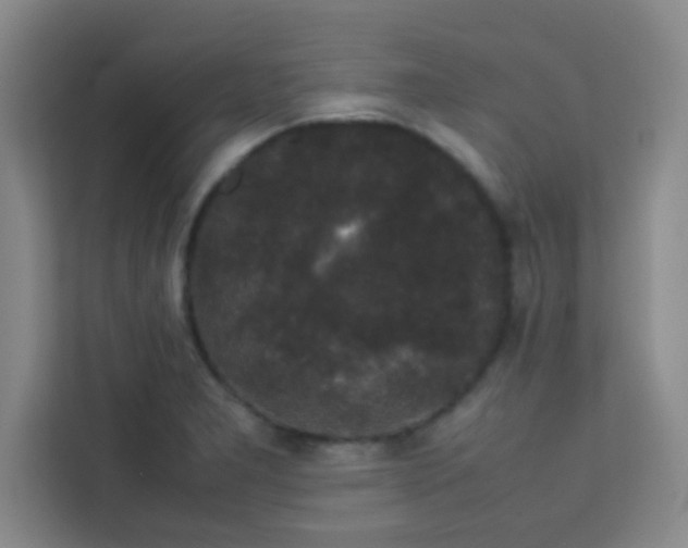 X0000113761277200910071124