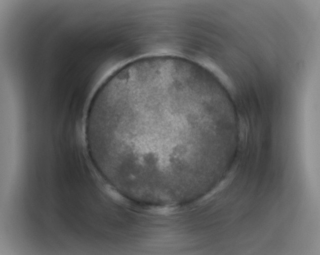 X0000113761278200910071124