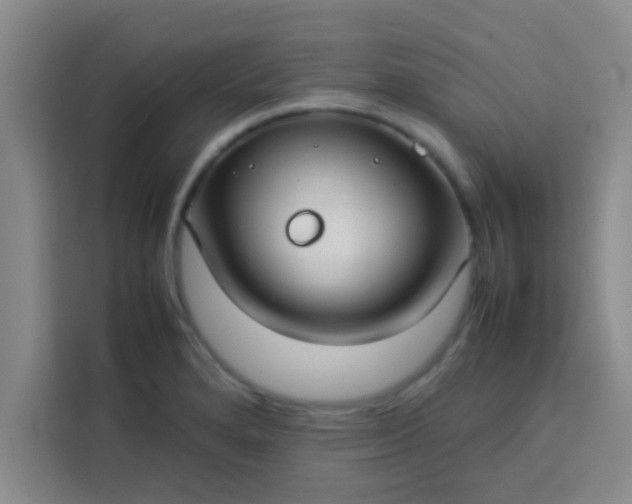 X0000113761280200910071124