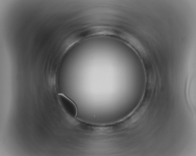 X0000113761281200910071124