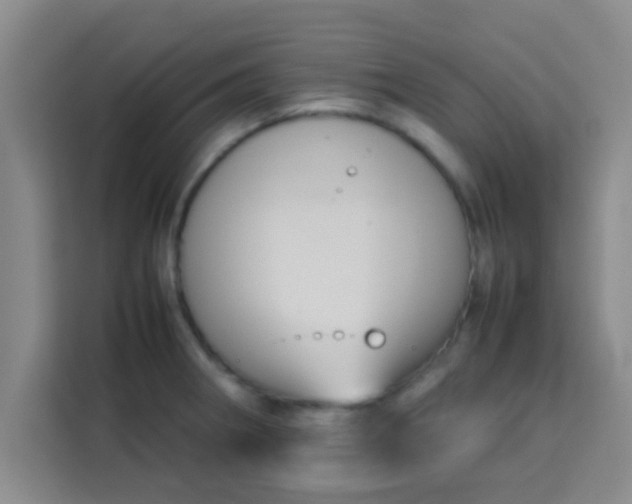 X0000113761282200910071124