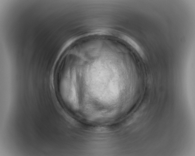X0000113761283200910071124