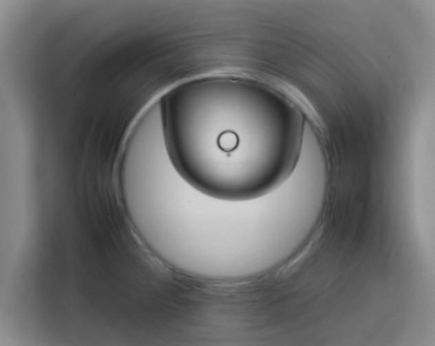 X0000113761284200910071124