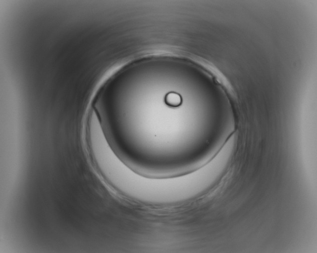 X0000113761285200910071124