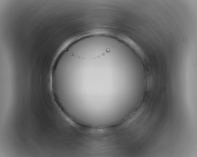 X0000113761286200910071124