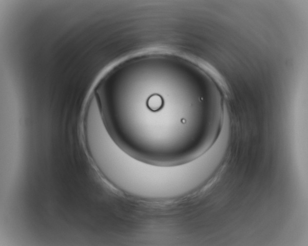 X0000113761288200910071124