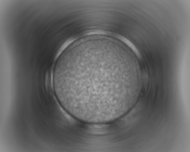 X0000113761290200910071124