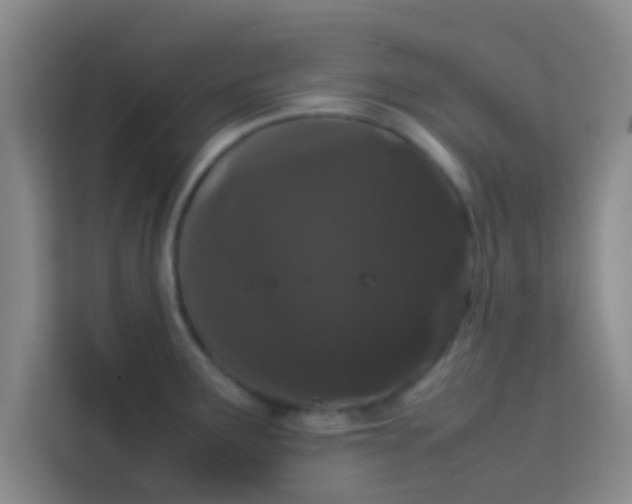 X0000113761291200910071124