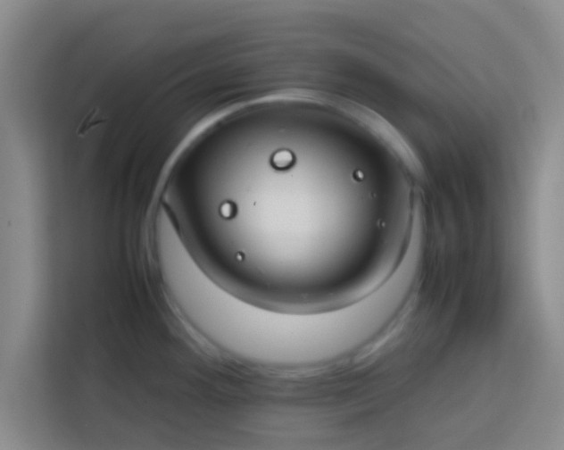 X0000113761292200910071124